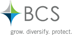 bcs